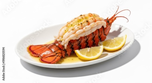 Roasted lobster tail with lemon wedges on a white oval plate, bright lighting