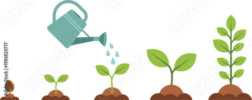 Plant Growth Cycle Vector Illustration Set with Seed Germination, Sprouting Seedling, Watering Can, and Mature Plant Stages for Gardening and Education