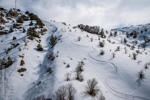 A scenic view of a snow-covered hillside featuring ski tracks and scattered trees. The soft curves of the slopes create a tranquil winter atmosphere.