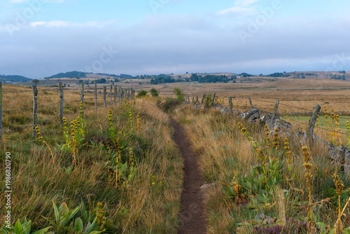 GR65 pilgrim trail crossing the Aubrac plateau, yellowed grass and dramatic cloudy sky, France