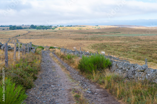 GR65 pilgrim trail crossing the Aubrac plateau, yellowed grass and dramatic cloudy sky, France