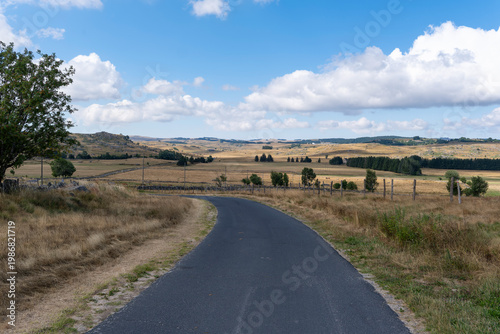 GR65 pilgrim trail crossing the Aubrac plateau, yellowed grass and dramatic cloudy sky, France