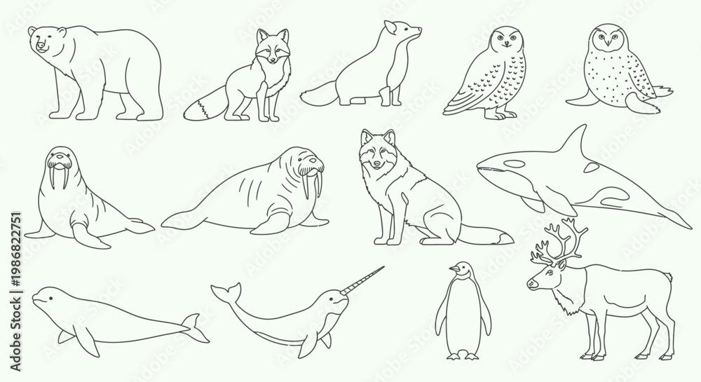 Obraz premium Collection of Arctic marine animals illustrations.