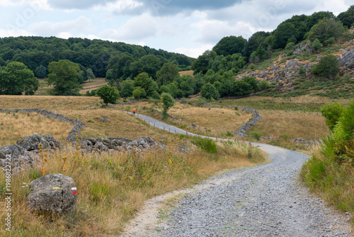 GR65 pilgrim trail crossing the Aubrac plateau, yellowed grass and dramatic cloudy sky, France