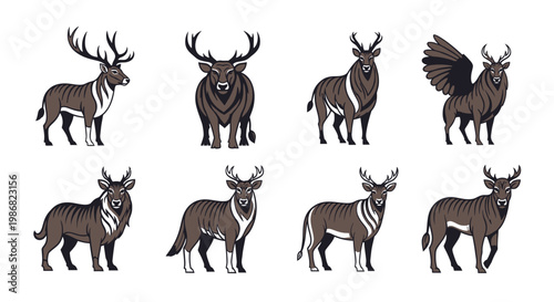Collection of various deer species.