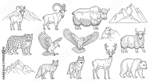 Collection of various wild animals standing 2.