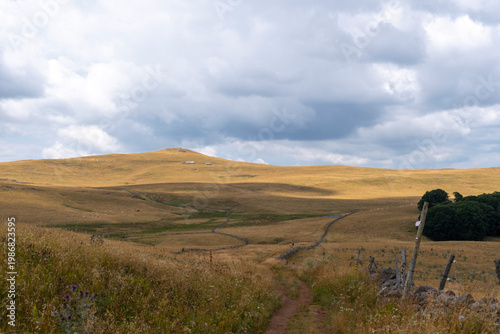 GR65 pilgrim trail crossing the Aubrac plateau, yellowed grass and dramatic cloudy sky, France