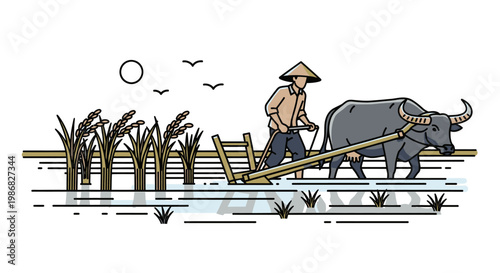 Man plowing rice field with ox.