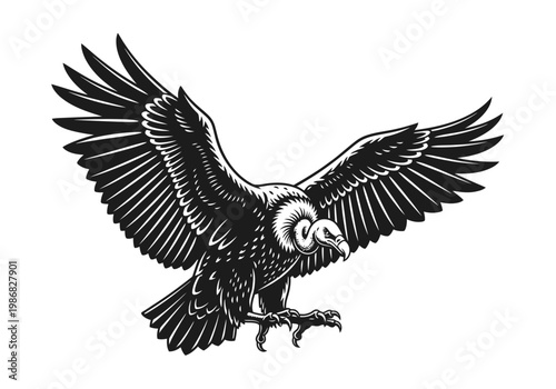 Vulture Bird of Prey Flying with Extended Talons Black and White Woodcut Style Graphic Illustration Isolated on White