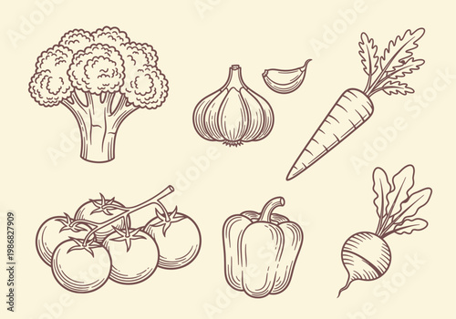 Vintage Line Art Vegetable Illustration Set: Broccoli, Garlic, Carrot, Tomato, Pepper, and Radish in Engraving Style for Organic Food Branding, Menus, and Healthy Living