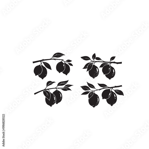 Lemons on Tree Silhouette Vector Illustration, Lemon Tree Fruit Branch Black White Design, Citrus Lemon Tree Minimal Silhouette Pack