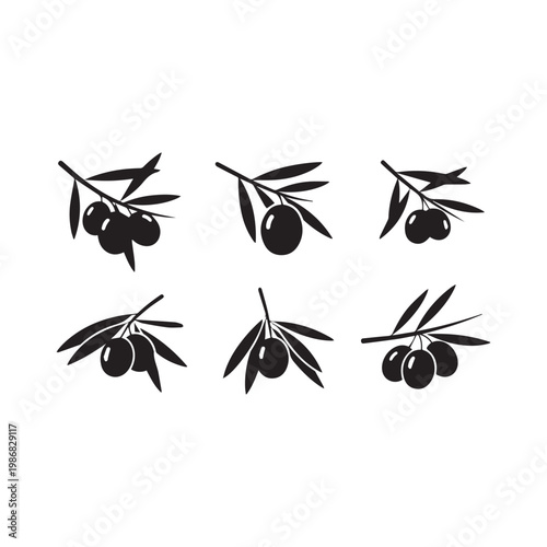 Green Olives Growing Tree Silhouette Vector Illustration, Olive Branch with Fruit Minimal Black White Design, Olive Tree Silhouette Simple Nature Vector Pack