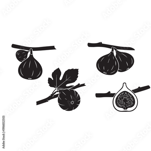 Figs on Tree Silhouette Vector Illustration Set Black White, Fig Fruit Branch Minimal Design Pack, Fig Tree Silhouette Simple Vector Bundle