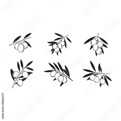 Green Olives Growing Tree Silhouette Vector Illustration, Olive Branch with Fruit Minimal Black White Design, Olive Tree Silhouette Simple Nature Vector Pack