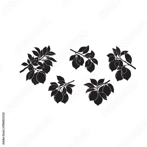 Lemons on Tree Silhouette Vector Illustration, Lemon Tree Fruit Branch Black White Design, Citrus Lemon Tree Minimal Silhouette Pack