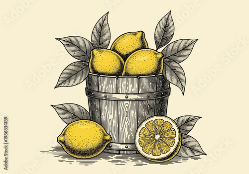 Vintage Engraving Illustration of Fresh Lemons in a Wooden Bucket with Leaves and Sliced Fruit. Retro Hand-Drawn Woodcut Style for Organic Harvest and Summer Lemonade Concepts.