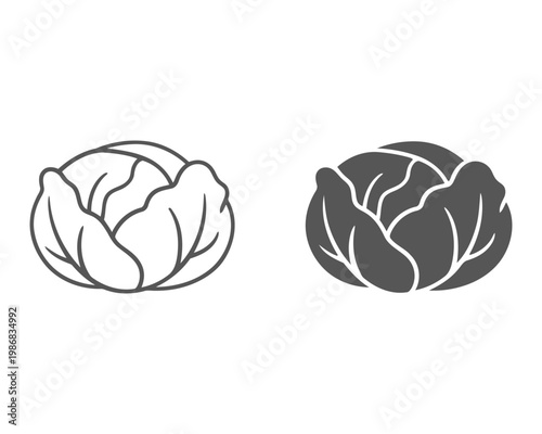 Cabbage Outline and Silhouette Icon