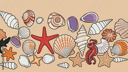 Colorful Sea Shells and Marine Creatures Illustration