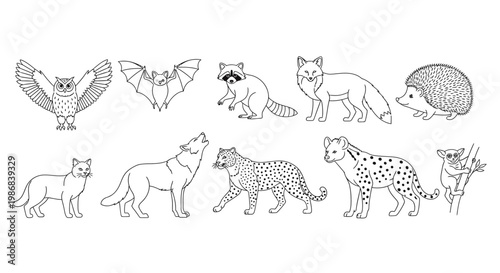 Collection of various wild animal species.