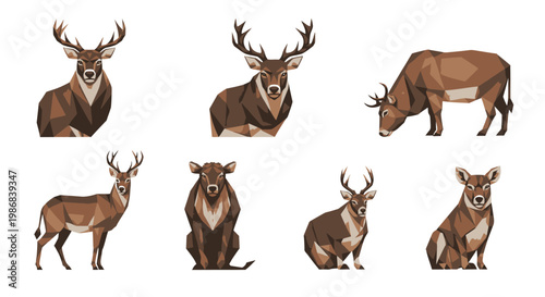 Deer and Antelope Animal Illustrations.