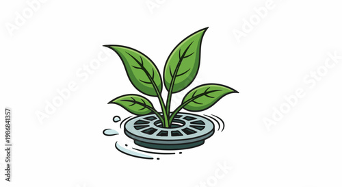 Green plant growing from a round grate in water