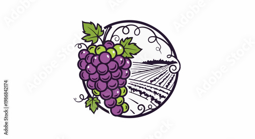 Grapes on vine with vineyard landscape inside a decorative circular frame