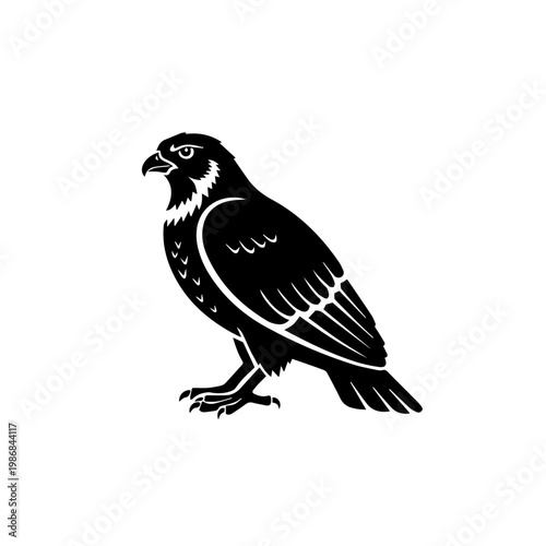 A black and white drawing of a falcon