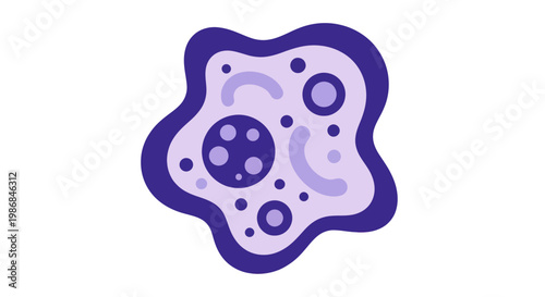 Amoeba microorganism cell structure biology science illustration.