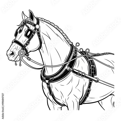 Detailed illustration of a horse wearing a traditional harness, black and white sketch