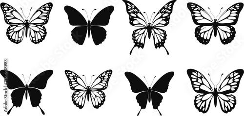 Butterfly Silhouettes in Black and White on Clean Background