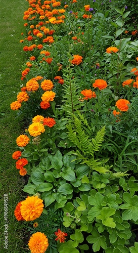 Marigold Meadow: A Burst of Autumn Hues