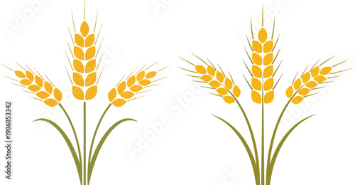 Golden wheat stalks vector illustration, ripe cereal grain ears for bakery logo, yellow barley and rye plant icons for agricultural branding