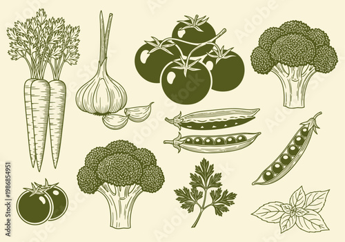 Vintage Hand-Drawn Vegetable Collection Illustration Set with Carrots, Broccoli, Tomatoes, Garlic, Peas, and Herbs