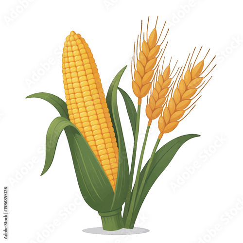 Maize and Wheat Illustration Vector, Agricultural Crop Icons in Flat Style for Farm and Food Industry