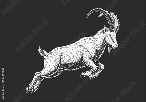 Vintage Alpine Ibex Illustration, Leaping Mountain Goat Woodcut Style Engraving, Capricorn Zodiac Sign Wildlife Art on Dark Background