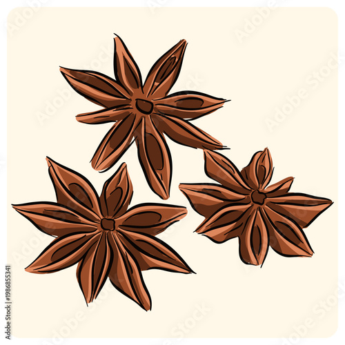 Star Anise Spice Illustration for Culinary and Herbal Use