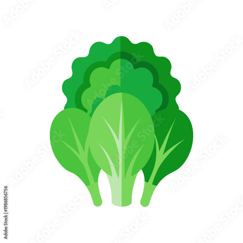 Fresh green spinach leaves arranged in a circular pattern isolated on transparent