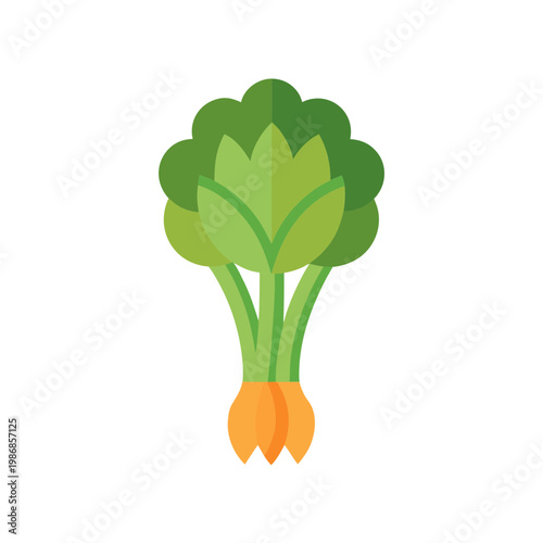 Fresh green celery bunch illustration with crisp leaves and an orange base in flat design