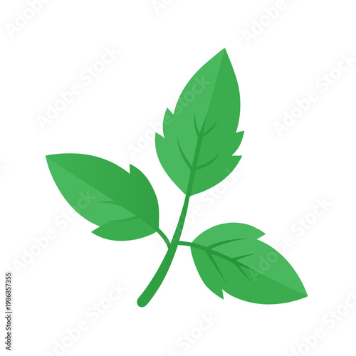Three green leaves on stem vector icon isolated on transparent background for nature design tasks