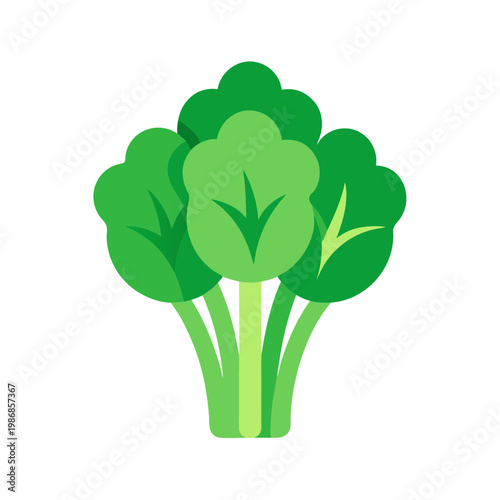 Healthy green broccoli florets with thick stems isolated on checkered background, flat design
