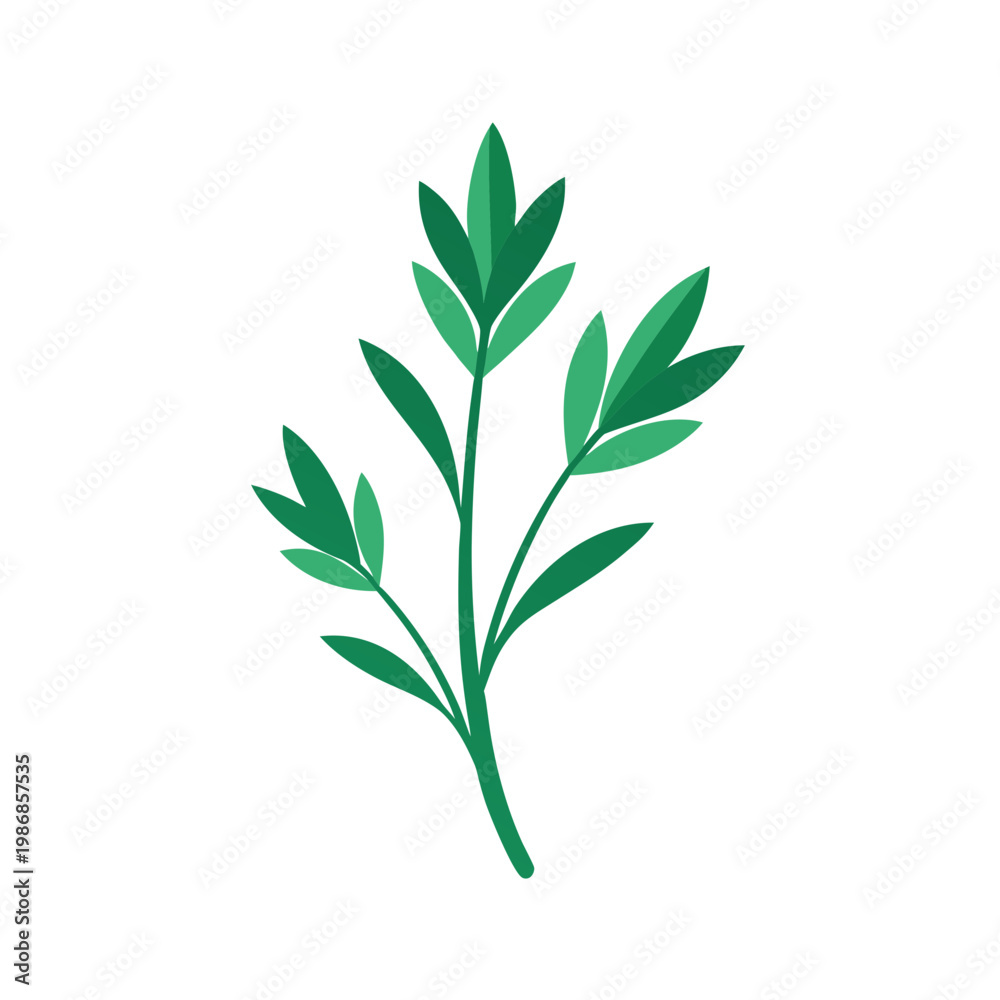 Obraz premium Green parsley herb sprig with delicate leaves, isolated on transparent background, natural ingredient