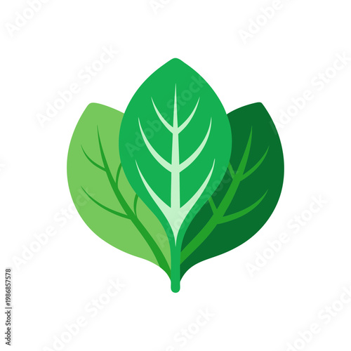 Green spinach leaves, healthy food, fresh vegetable, natural ingredients for cooking