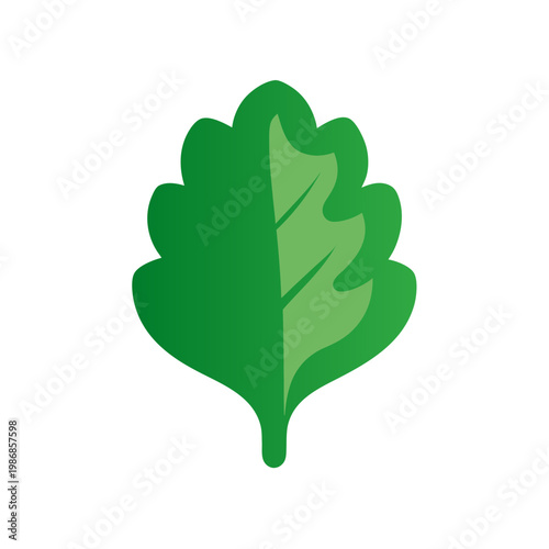 Single green leaf with detailed veins, organic element, nature symbol, fresh growth icon