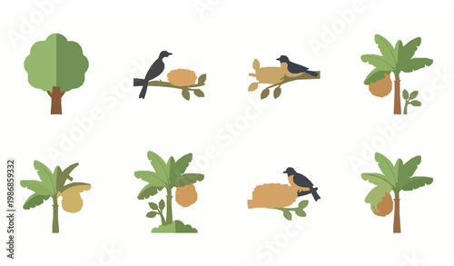 A colorful illustration of birds and tropical trees with fruit