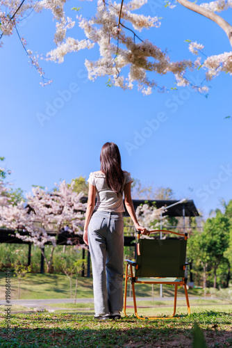 A young woman with dark hair stands with her back to the camera, holding a green folding chair, facing a lush canopy of pink and white shower flowers (cassia bakeriana) in full bloom against a clear b