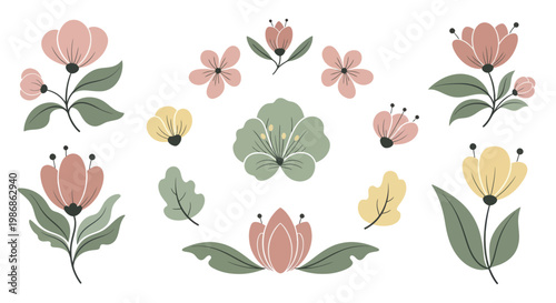 Beautiful collection of delicate floral elements and blooming flowers.