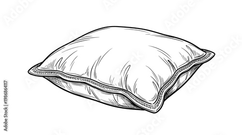 Detailed Hand-Drawn Pillow in Black and White