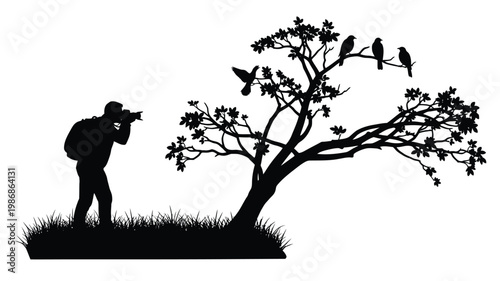 Photographer with camera observing birds in trees a striking silhouette