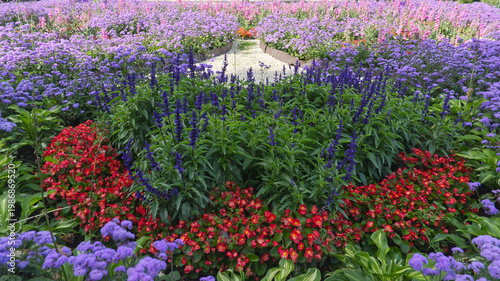 field of flowers