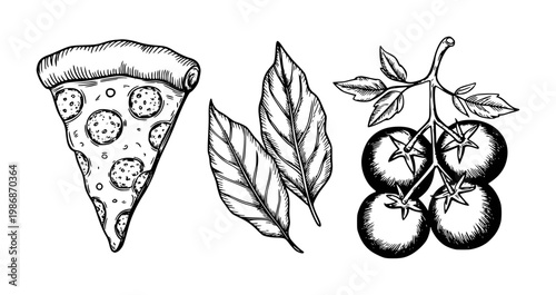 Hand drawn slice of pepperoni pizza, basil leaves, and ripe tomatoes vine food